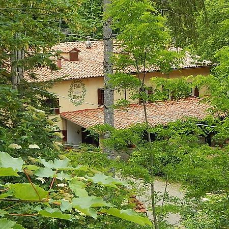 Agriturismo Fonte Magria Abbadia San Salvator Eksteriør bilde