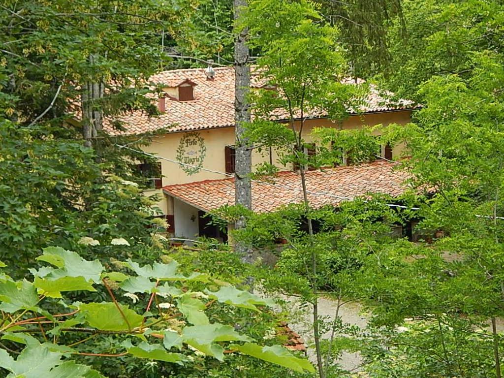 Agriturismo Fonte Magria Abbadia San Salvator Eksteriør bilde
