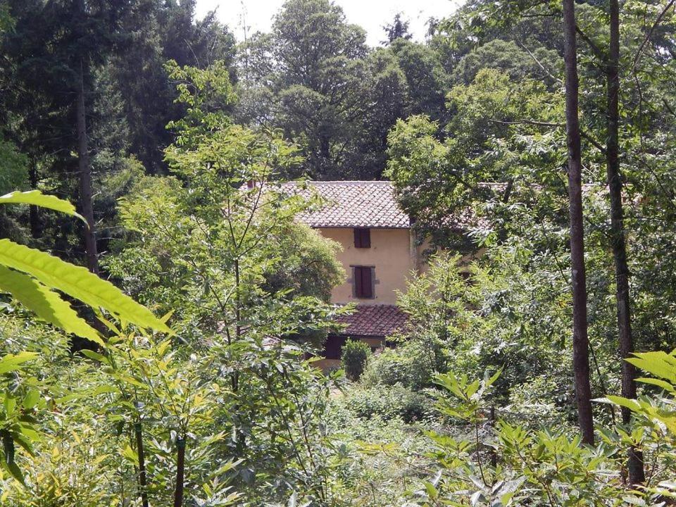 Agriturismo Fonte Magria Abbadia San Salvator Eksteriør bilde